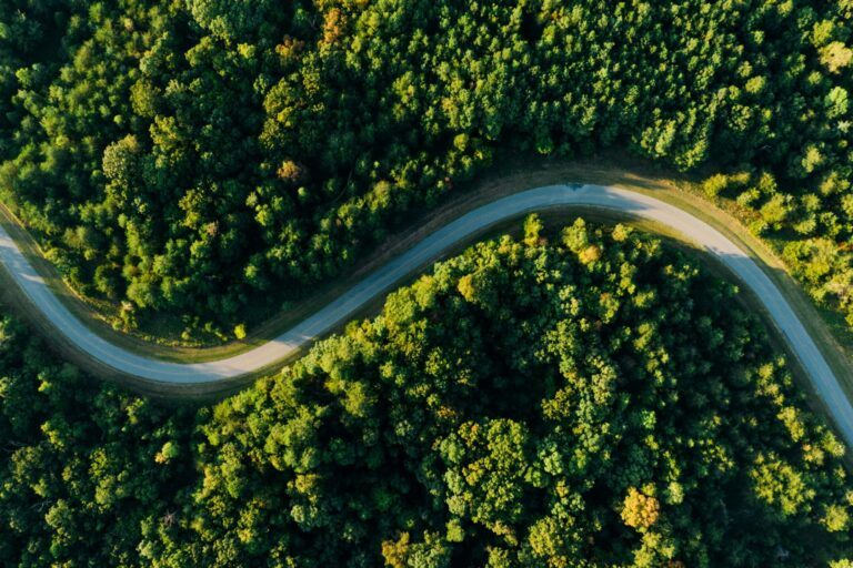 EcoOnline’s David Picton on how businesses can successfully negotiate the trade-offs between the promises of AI and their progress towards net zero.