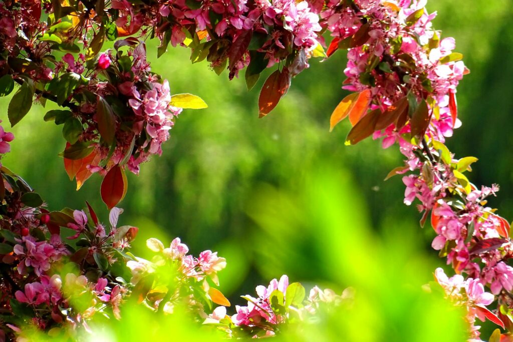 Keeping Your Garden Manageable All Year Round