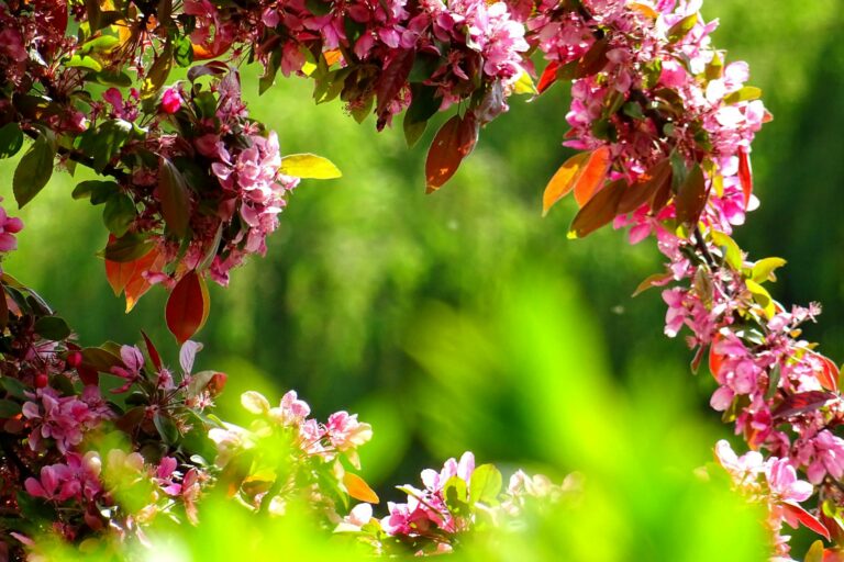 Keeping Your Garden Manageable All Year Round