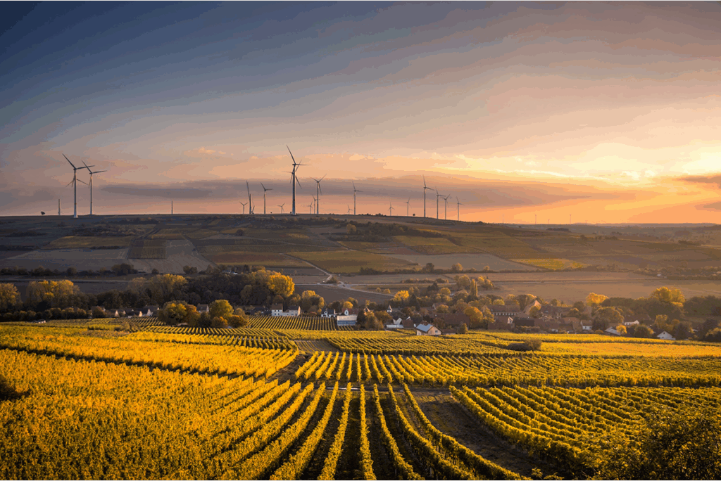 Obstacles to net zero: The renewable challenges facing all UK businesses